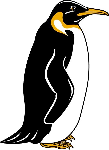 Penguin team mascot color vinyl sports sticker. Customize to make it your own. Penguin 1